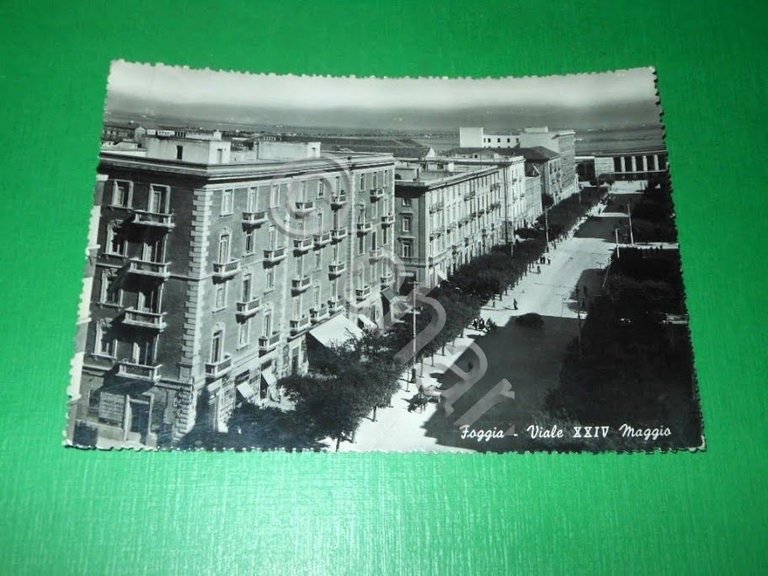 Cartolina Foggia - Viale XXIV Maggio 1952