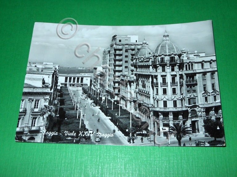 Cartolina Foggia - Viale XXIV Maggio 1958.