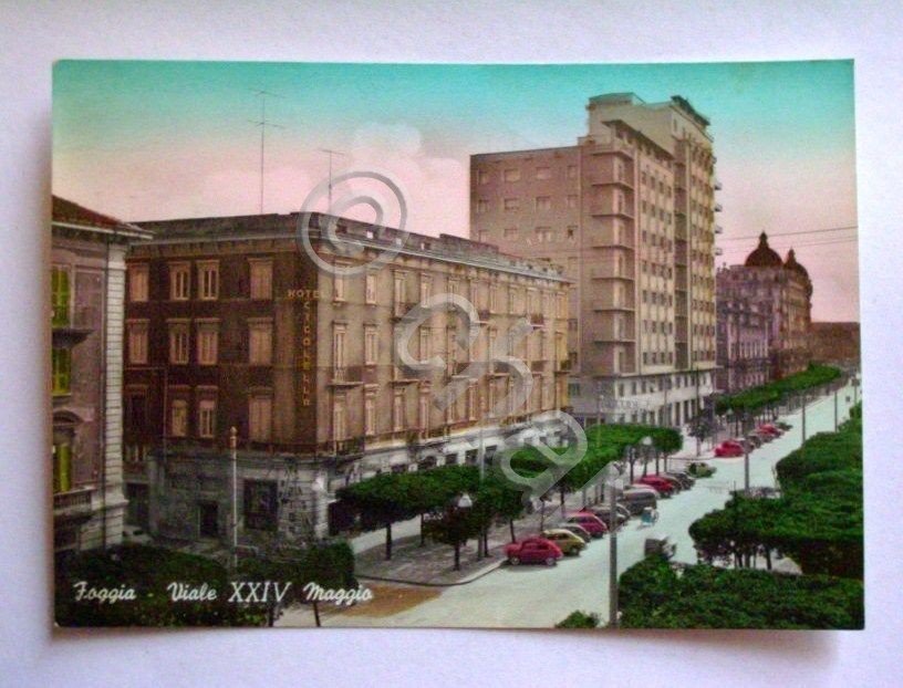 Cartolina Foggia - Viale XXIV Maggio 1960.