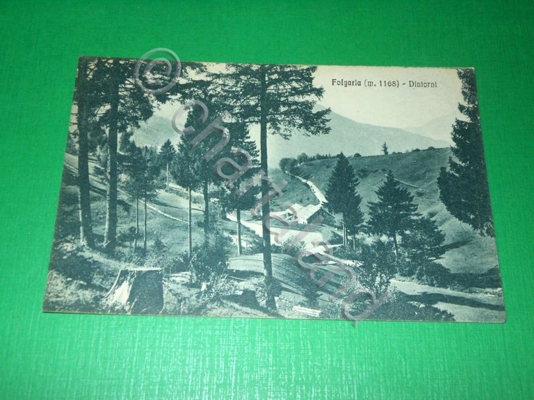 Cartolina Folgaria - Dintorni 1929.