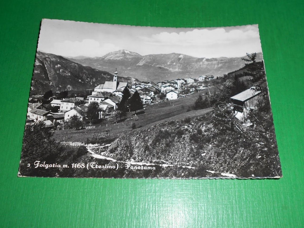 Cartolina Folgaria ( Trento ) - Panorama 1964.