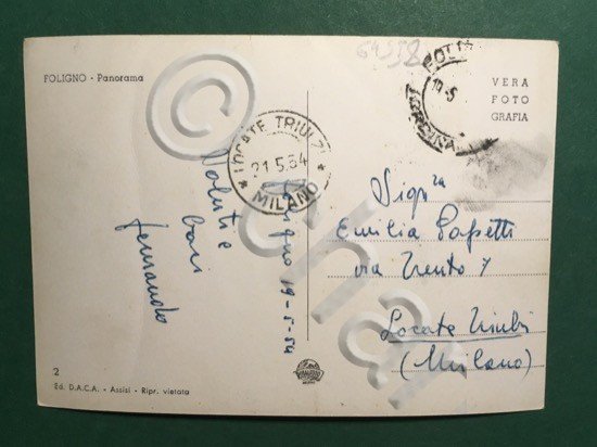 Cartolina Folignano - Panorama - 1954