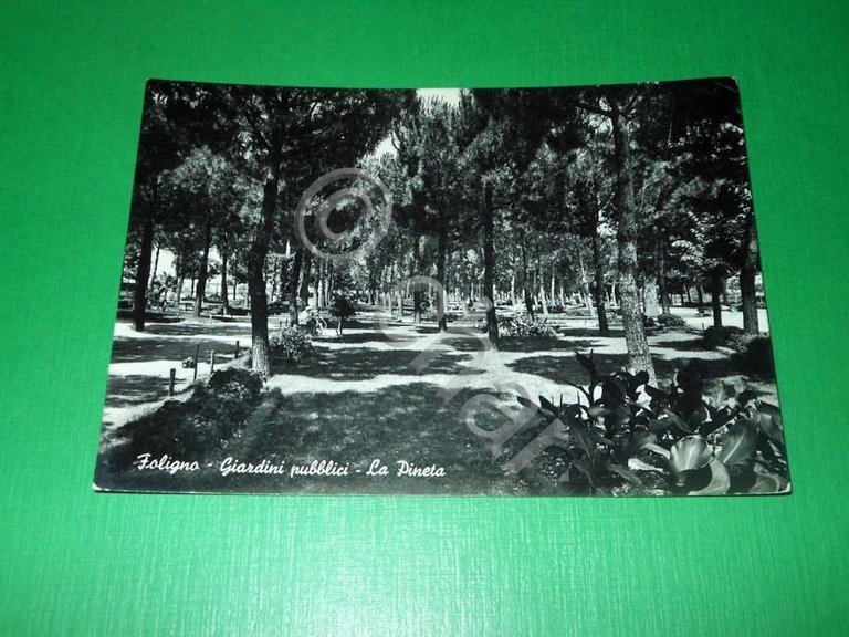 Cartolina Foligno - Giardini pubblici - La Pineta 1954