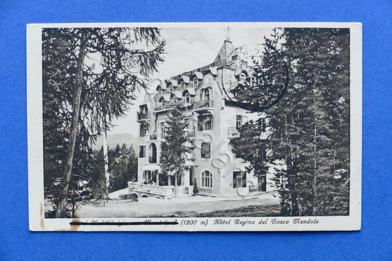 Cartolina Fondo - Hotel Regina del Bosco Mendola - 1925