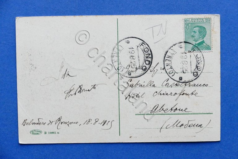 Cartolina Fondo - Hotel Regina del Bosco Mendola - 1925