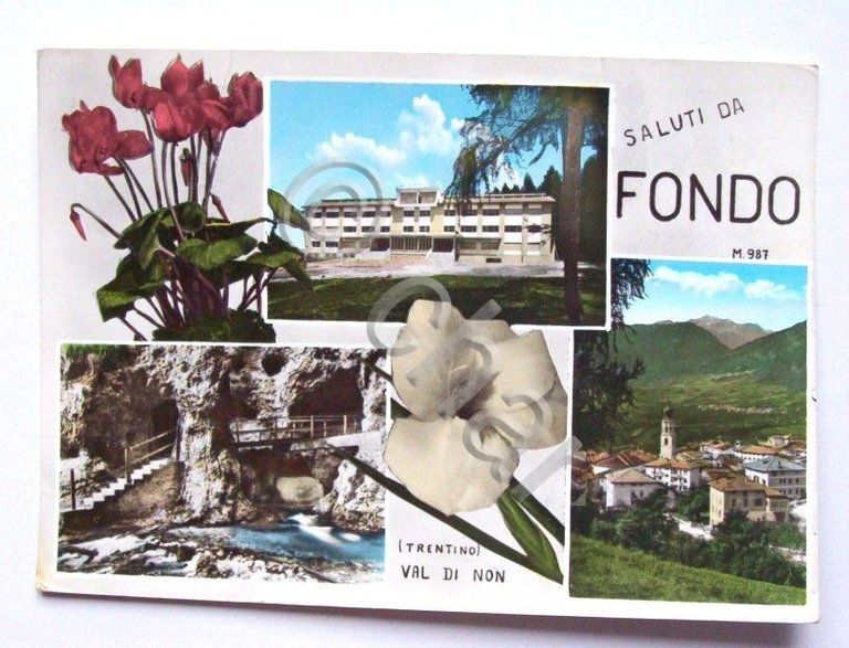 Cartolina Fondo ( Trento ) - vedute 1967