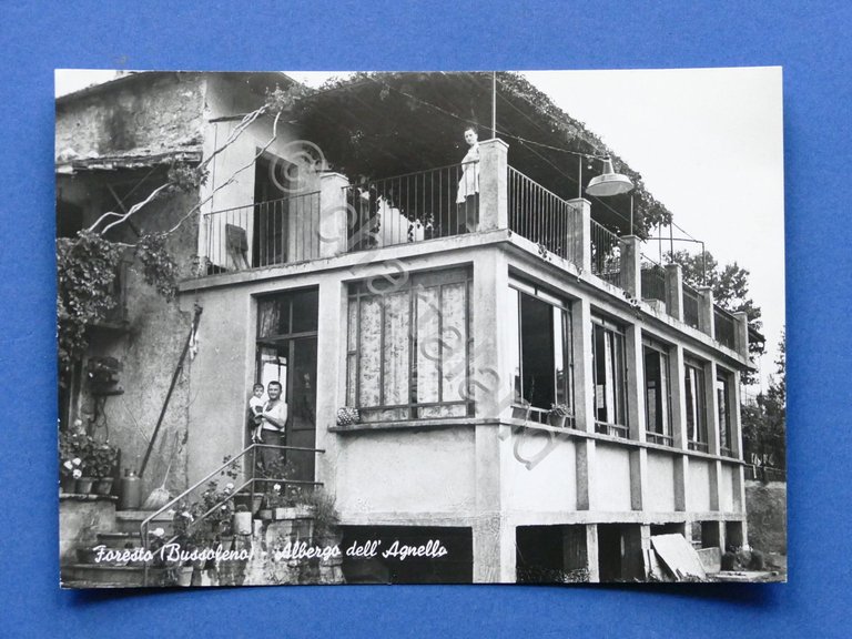 Cartolina Foresto - Bussoleno - Albergo dell'Agnello - 1955 ca.