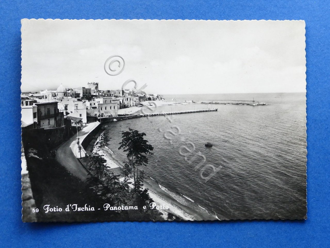 Cartolina Forio d'Ischia - Panorama e Porto - 1950 ca.