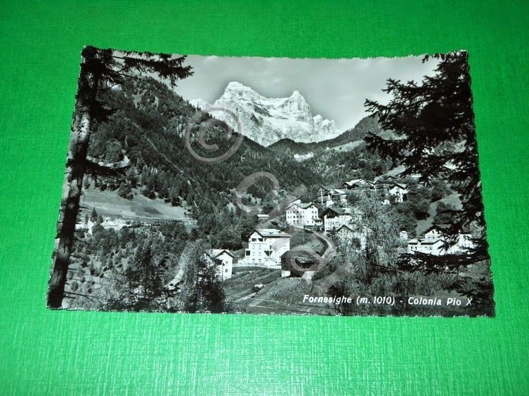 Cartolina Fornesighe - Colonia Pio X 1955 ca. | Immagine Gallery 2