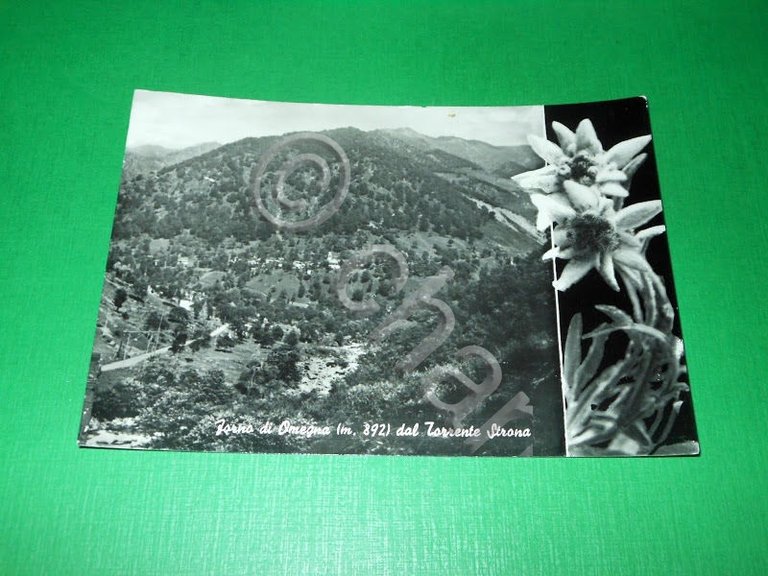 Cartolina Forno di Omegna dal Torrente Strona 1954