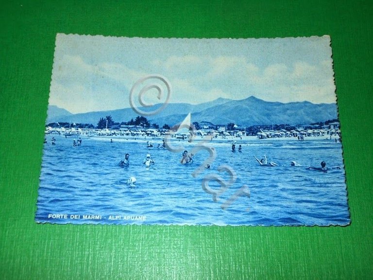 Cartolina Forte dei Marmi - Alpi Apuane 1954