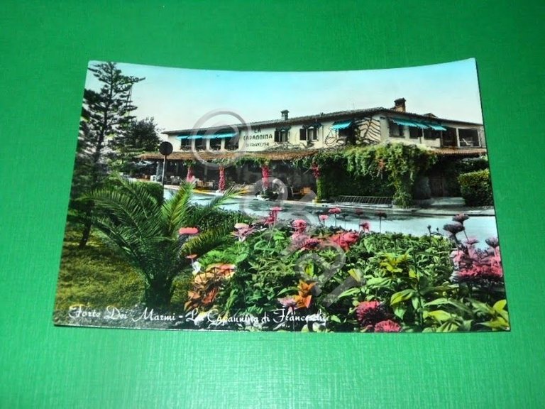 Cartolina Forte dei Marmi - La capannina di Franceschi 1956