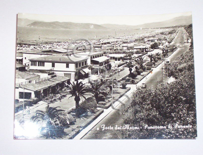 Cartolina Forte dei Marmi - Panorama di Ponente 1956