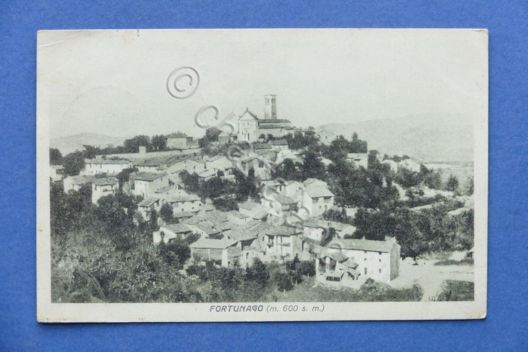 Cartolina Fortunago - Panorama - 1924 ca.