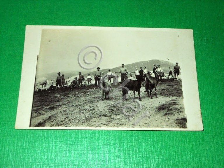 Cartolina Frabosa Soprana ( Cuneo ) - Particolare 1927 ca..