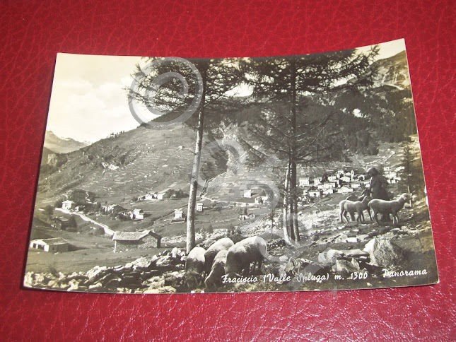 Cartolina Fraciscio ( Valle Spluga ) - Panorama 1951.