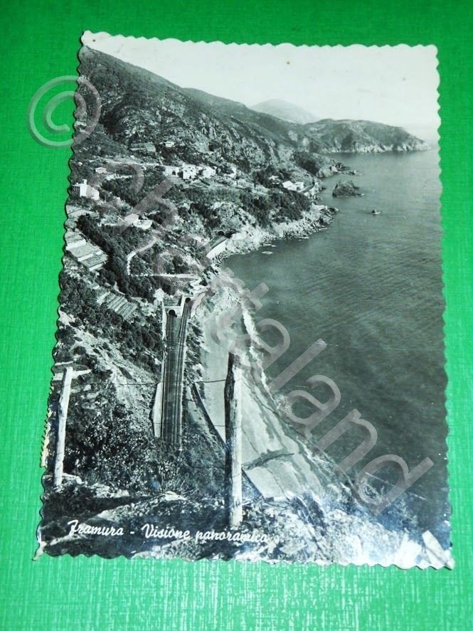 Cartolina Framura - Visione panoramica 1955 ca.