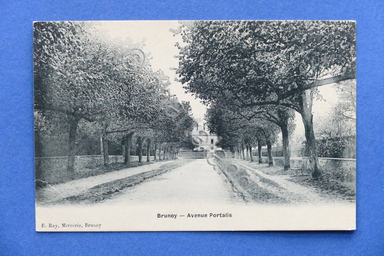 Cartolina Francia - Brunoy - Avenue Portalis - 1906