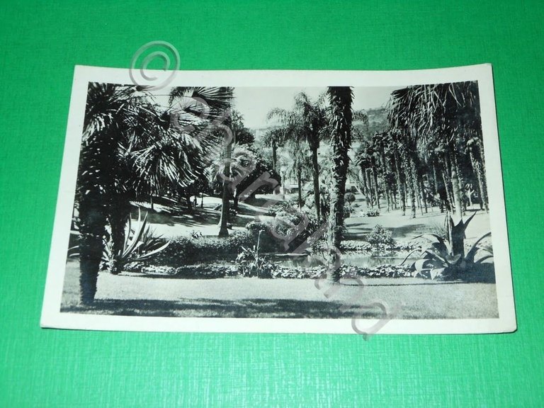 Cartolina Francia - Monte Carlo - Les Jardins du Casino …