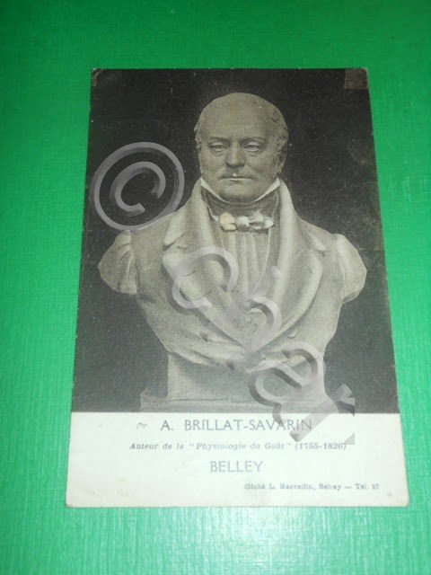 Cartolina Francia Belley - Monumento a Anthelme Brillat-Savarin 1755 / …