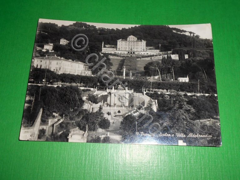 Cartolina Frascati - Scalea e Villa Aldobrandini 1952