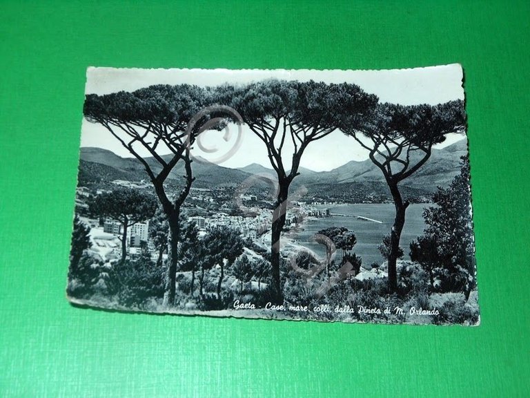 Cartolina Gaeta - Panorama dalla Pineta di M. Orlando 1955