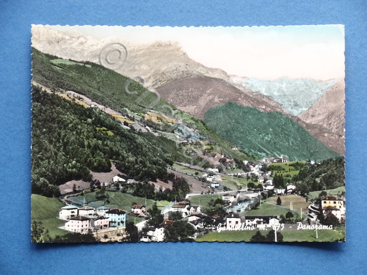 Cartolina Gandellino - Panorama - 1960 ca..