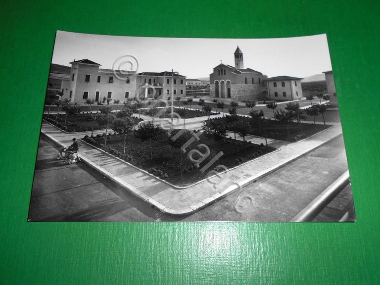 Cartolina Gaudiano ( Potenza ) - Particolare 1960 ca