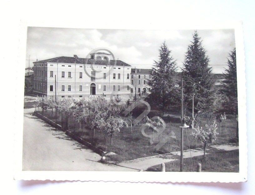 Cartolina Gazzuolo ( Mantova ) - Il Municipio 1951 ca.