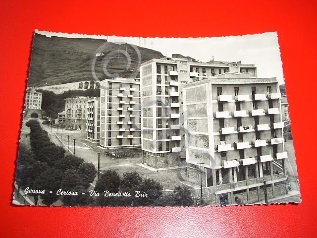 Cartolina Genova - Certosa - Via Benedetto Brin 1953.