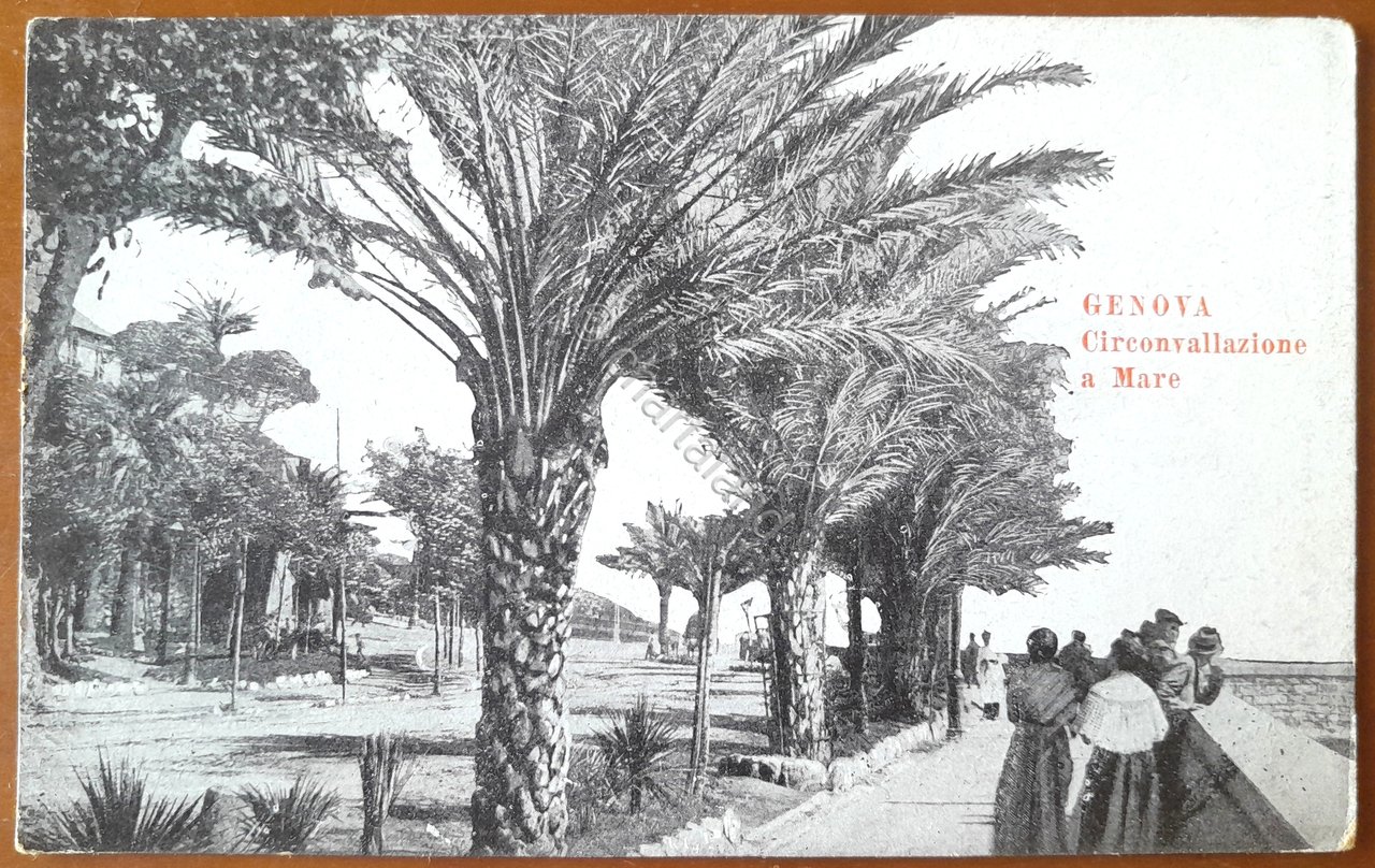 Cartolina Genova - Circonvallazione a Mare - 1910 ca. | Immagine principale