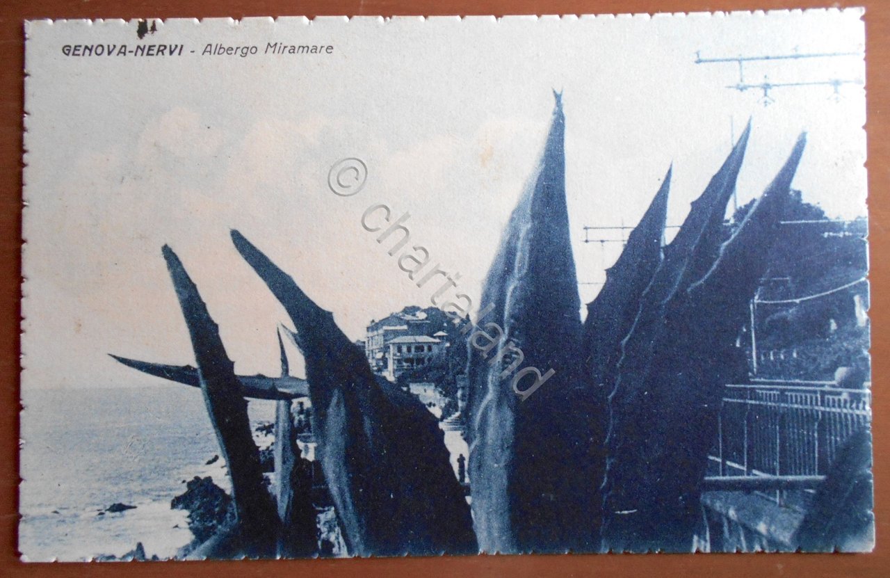 Cartolina Genova - Nervi - Albergo Miramare - 1940