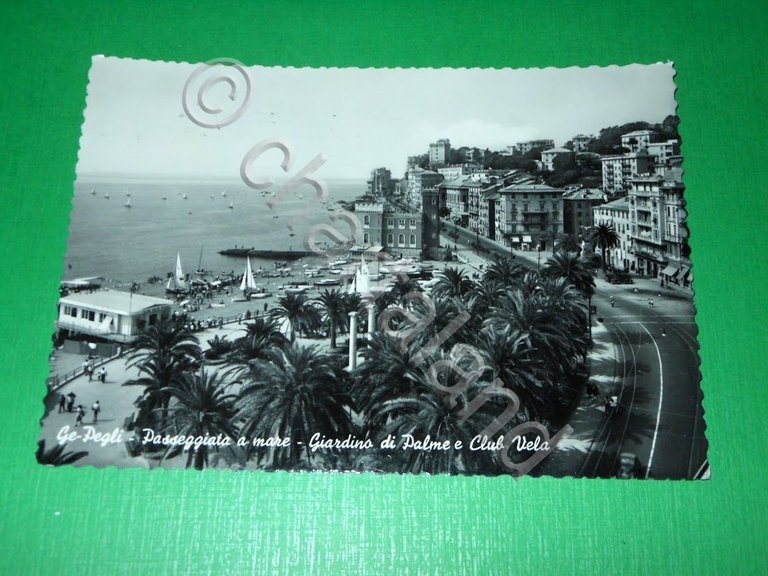 Cartolina Genova Pegli - Passeggiata a mare - Giardino di … | Immagine Gallery 2