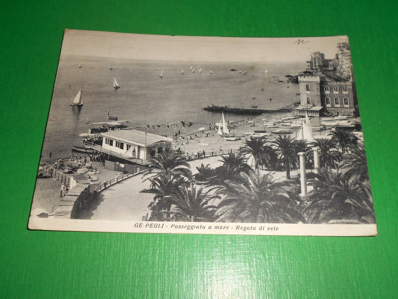 Cartolina Genova Pegli - Passeggiata a mare - Regata di …