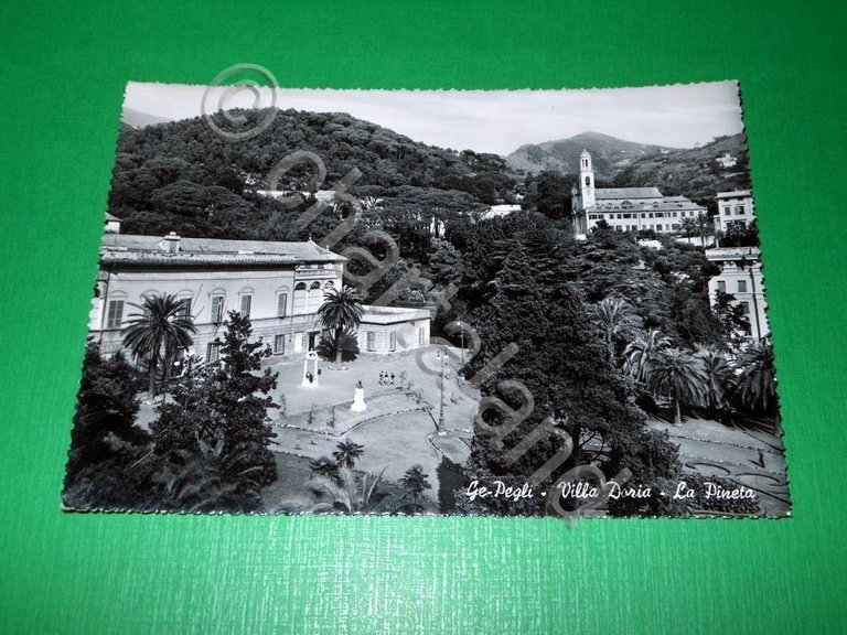 Cartolina Genova Pegli - Villa Doria - La pineta 1955.