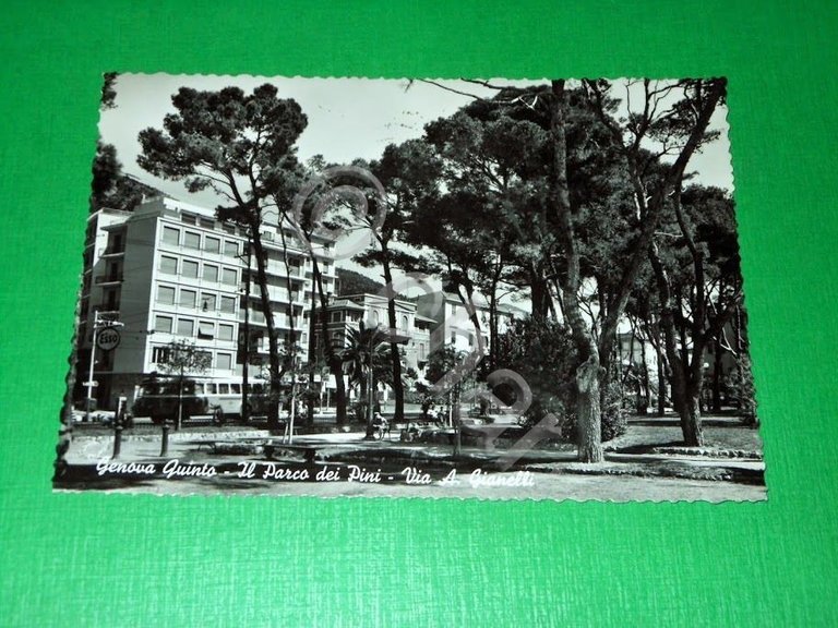 Cartolina Genova Quinto - Il Parco dei Pini - Via …