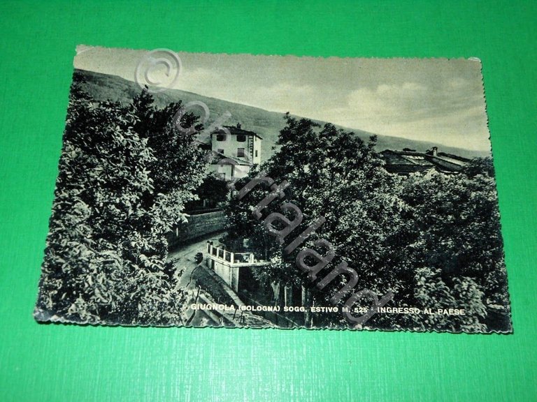 Cartolina Giugnola ( Bologna ) - Ingresso al Paese 1954
