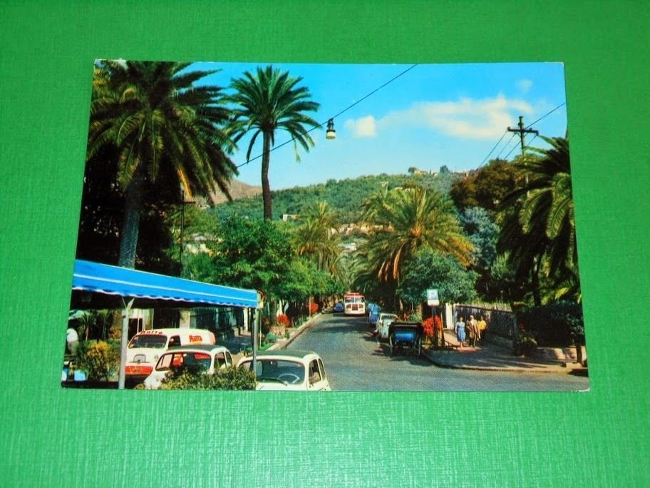 Cartolina Golfo Paradiso - Nervi - Viale delle Palme 1967.