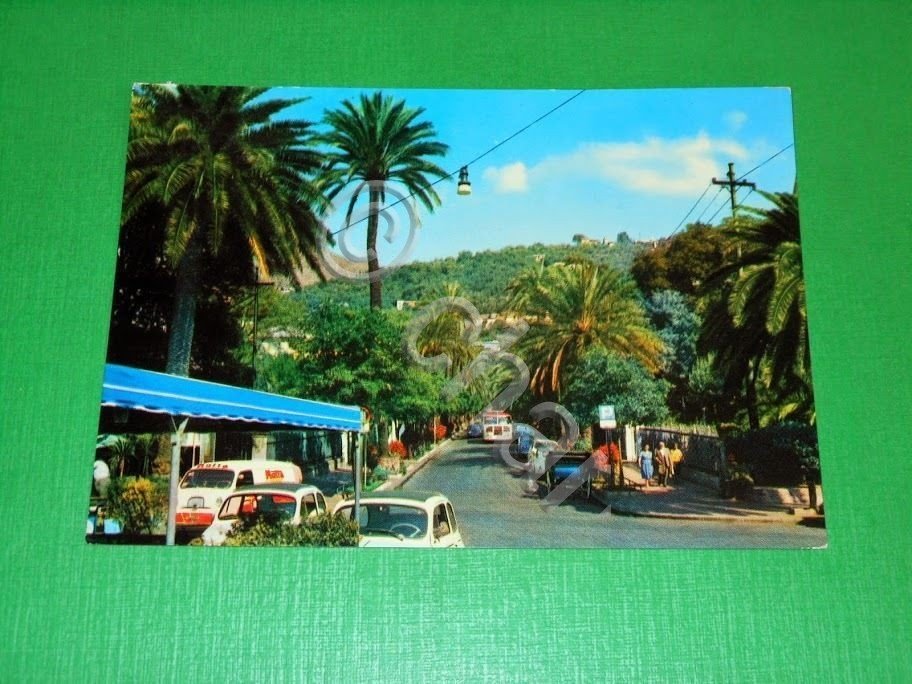 Cartolina Golfo Paradiso - Nervi - Viale delle Palme 1967.