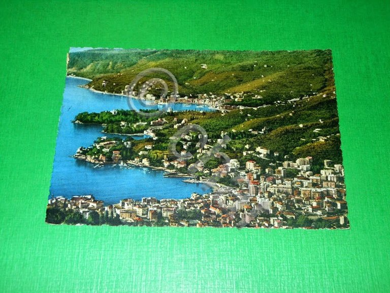 Cartolina Golfo Tigullio - Panorama -- 1956 | Immagine Gallery 2