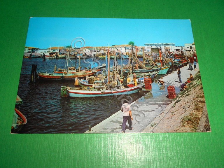 Cartolina Goro ( Ferrara ) - Il porto 1980.