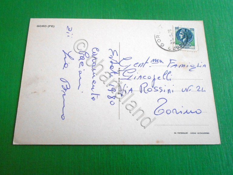 Cartolina Goro ( Ferrara ) - Il porto 1980.