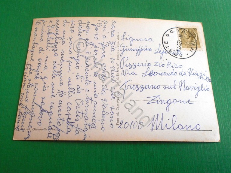 Cartolina Goro ( Ferrara ) - Panorama e Fiume Po …