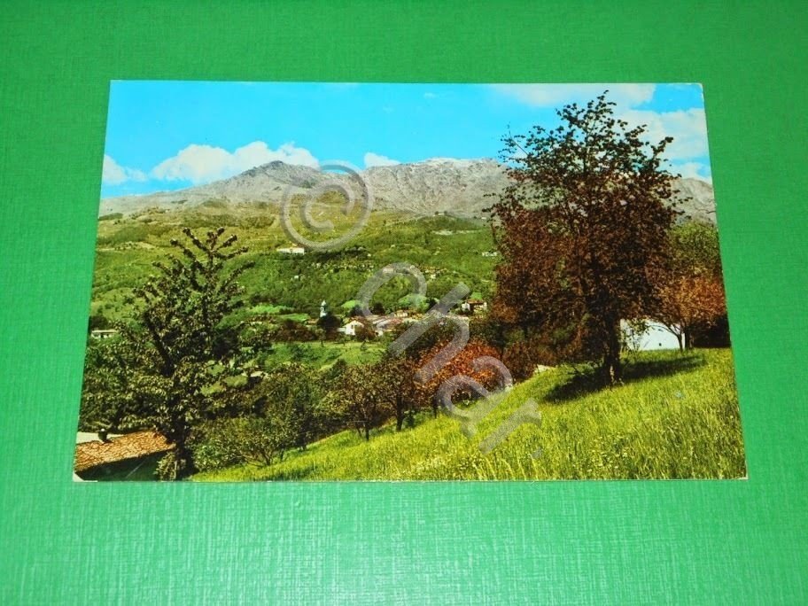 Cartolina Graglia - Panorama 1971.