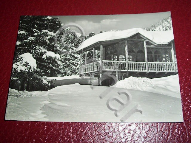 Cartolina Gressoney St. Jean Chalet di Weissmatten 1954