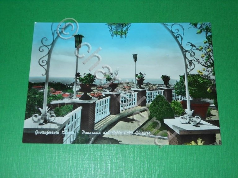 Cartolina Grottaferrata ( Roma ) - Panorama dal Colle delle … | Immagine Gallery 2