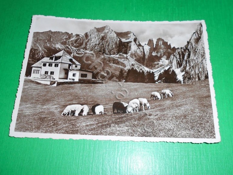 Cartolina Gruppo del Catinaccio - Rifugio Ciampedie 1950.