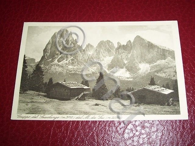 Cartolina Gruppo del Sassolungo dal M. da Sus 1930 ca