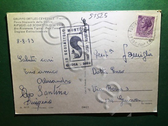 Cartolina Gruppo Ortles Cevedale - Trentino - Parco Nazionale - …