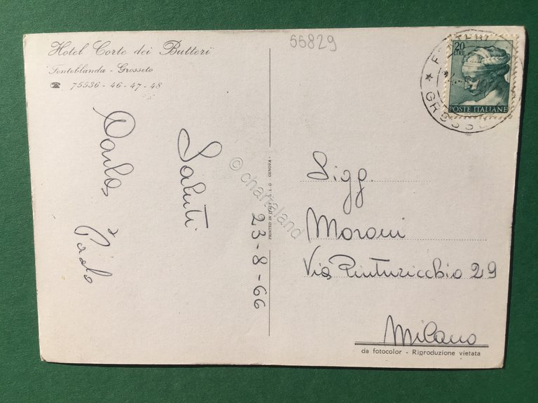 Cartolina Hotel Corte Dei Butteri - Grosseto - 1966
